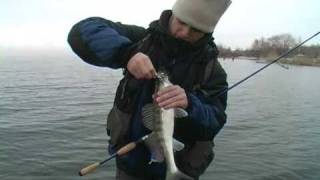 Зимний спиннинг. Ловля судака. Джиг и отводной поводок
