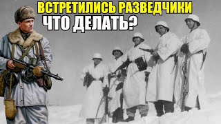 Встретились немецкие и советские разведчики... Два необычных случая на одном фронте