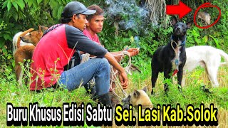 CINEMATIC BURU HAMA BABI HUTAN DI SUNGAI LASI SOLOK