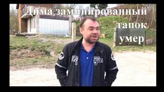 Димон заминированный тапок умер  Где сейчас Дима Мина