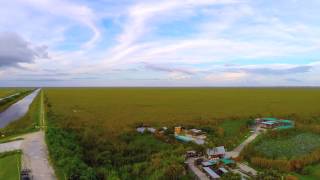 Sawgrass Recreation Park Drone Footage