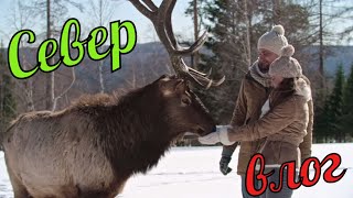 ДЕТИ ВПЕРВЫЕ увидели ЧУМ /  Семейные влоги