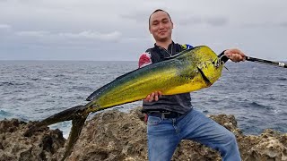 Aquela simples PESCARIA DE BARRANCO! 20 lb de Dourado do Mar