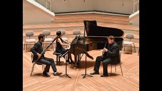 Beethoven Gassenhauer Trio op. 11, 1. mov. PHILHARMONIE BERLIN