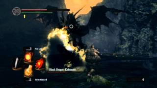Black Dragon Kalameet - Прохождение Dark Souls