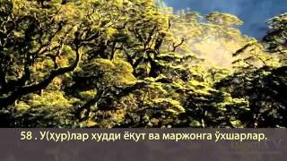 Ikki Jannat (Ar - Rohman surasi)