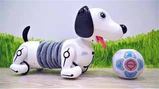 СОБАКА РОБОТ по кличке Дэкел от Silverlit - Распаковка ИГРУШКИ для детей