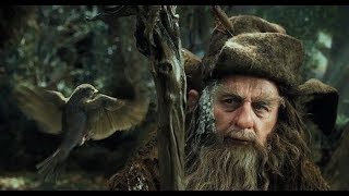 Радагаст начальник зоопарка. Изенгард/Рохан vs Изенгард/Гондор BFME 2 ROTWK