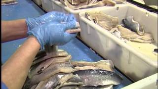 Зона риска продукты - программа про качество продуктов питания