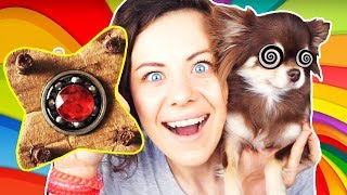 Сделала СОБАЧИЙ СПИННЕР ! Собаки крутят ФИДЖЕТ СПИННЕР DIY Magic Family