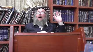שיעור תורה לפני תשעה באב תשע"ח- האדמו"ר מנייטרא הרב עמרם גרויז. חלק 1