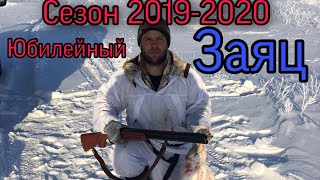 Охота на зайца 02.02.2020. Юбилейный Заяц