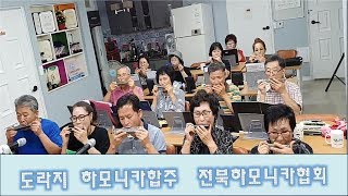도라지 하모니카합주 / 비네타하모니카 & 트레몰로하모니카