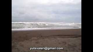 Коста Рика,Tortuguero,пляж  на Карибах