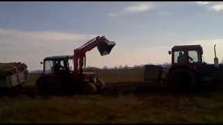 Elakadás Belarus MTZ 820.4 + MTZ 550