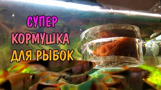 СУПЕР УСТРОЙСТВО ДЛЯ КОРМЛЕНИЯ РЫБОК