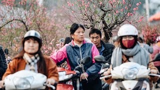 Bản tin sáng 30 Tết 24/01/2020 | VTC1