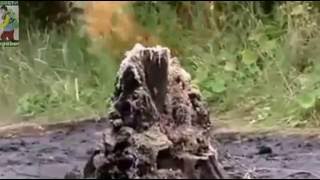 Грязевой вулкан у села Старуня Ивано-Франковской области.