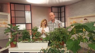 Vypestujte si aj vy zeleninu priamo na vašom balkóne! | Záhradníctvo EMMA s.r.o. | Dámsky klub RTVS