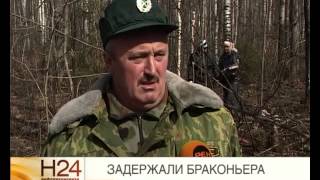 В Рыбинске задержали браконьера, который застрелил двух лосей