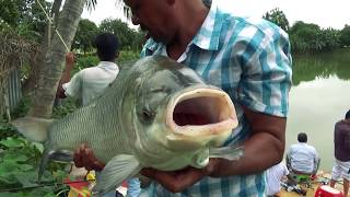 Big Catla Fishing Videos By Fish Watching