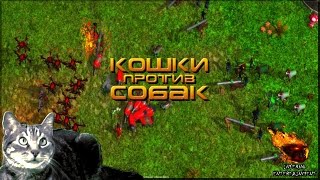 игра "Кошки против Собак" вконтакте