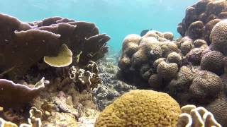 Explore Pahawang Island, Kelagian, Tanjung Putus - Backpacker Indonesia