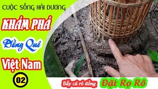 Khám Phá Đồng Quê Việt Nam Phần 2 | Cách Bẫy Cá Rô Đồng Chỉ Người Nông Dân Mới Biết