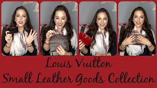Louis Vuitton Small Leather Goods Collection