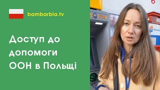 Как получить доступ к Денежной помощи УВКБ ООН в Польше | BamBarBia.TV