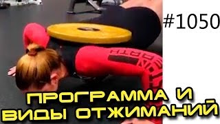 Отжимания от пола. Грудные мышцы в домашних условиях. Программа и виды отжиманий