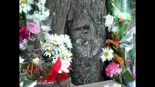 Об"явлення Божої Матері (м.Монастириська  4.07.12)