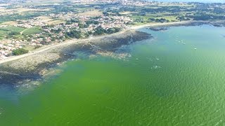 Quand la mer se colore