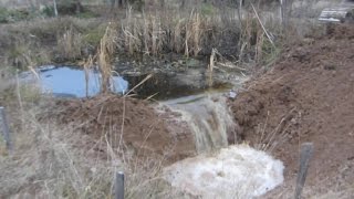 Экскаватор увеличил маленький пруд