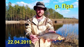 Река Пра. 22.04.2019... и даже был карась!!!