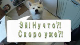 Лакомство для собак. Готовим говяжее легкое и трахею.