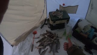 Зимняя рыбалка!Белоярское водохранилище,муха,мухомормыш и ловля на мормышку!