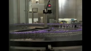 Коронавирусные рекорды Израиля