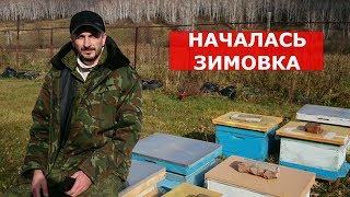 сибирский пчелоблог 14.10.2018/калифорнийская крыша в конце сезона/замена пленки на холстик