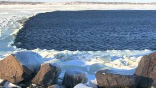 Каховка,берег Днепра 31.01.2014 г. 15:30