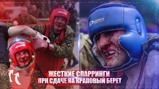 ЖЕСТКИЕ СПАРРИНГИ ПРИ СДАЧЕ НА КРАПОВЫЙ БЕРЕТ