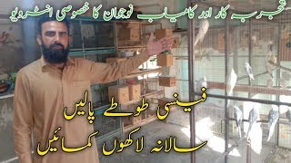 Parrot/Parrots farming in Pakistan/pet farming in pak/small business idea in pak/farming tips