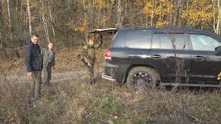 Крутая загонная охота (БЕЗ ЦЕНЗУРЫ!!!) Охота в России / #Охота / #Hunter / #Hunting