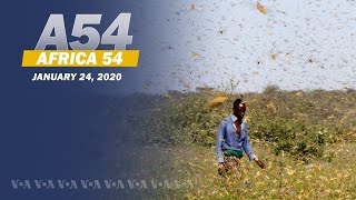 Africa 54
