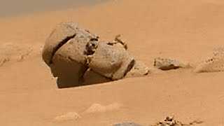 Las rocas más "locas" de Marte - Grandes pareidolias marcianas