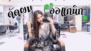 ทำผมแบบธรรมชาติ,ออกแกนิคดีไหม?,ทำสีผมไม่เสีย ︱PFDiary