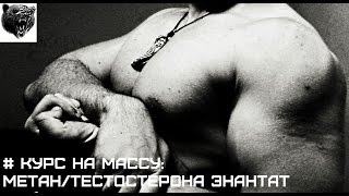ЛУЧШИЙ КУРС НА МАССУ: МЕТАН + ТЕСТОСТЕРОНА ЭНАНТАТ