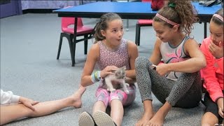 I Want To Be a Lion When I Grow Up (WK 300.3) | Bratayley