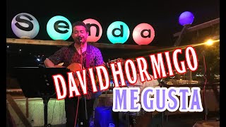 DAVID HORMIGON - Me Gusta (MANUEL CARRASCO) En Senda Antrocafé