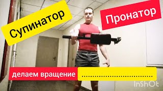 Супинатор. Пронатор. Тренировка супинатора и пронатора. Тренировка предплечья супинатора и пронатора